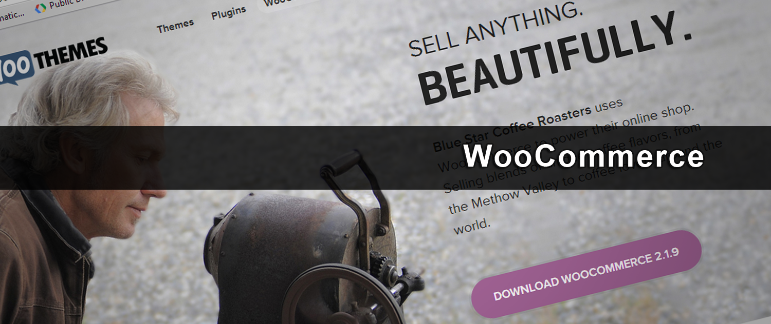 iDEAL voor WordPress & WooCommerce